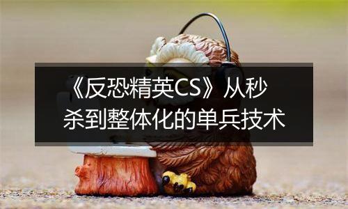 《反恐精英CS》从秒杀到整体化的单兵技术