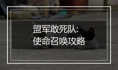盟军敢死队:使命召唤攻略