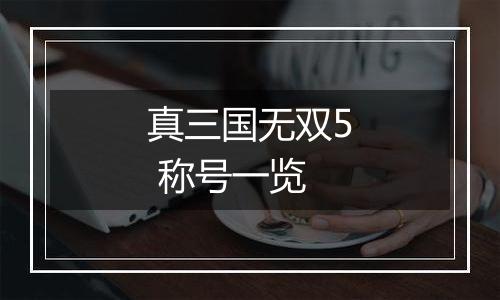 真三国无双5 称号一览