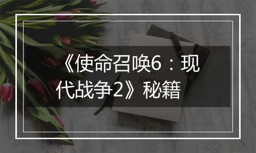 《使命召唤6：现代战争2》秘籍