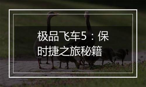 极品飞车5：保时捷之旅秘籍