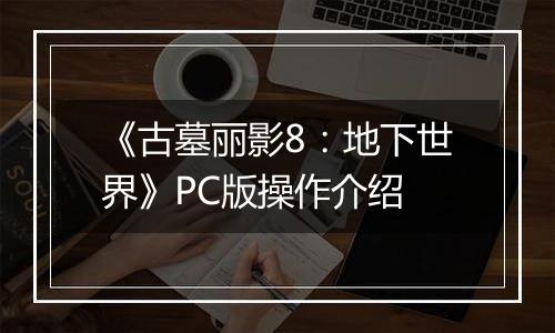 《古墓丽影8：地下世界》PC版操作介绍