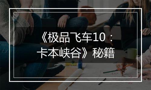 《极品飞车10：卡本峡谷》秘籍