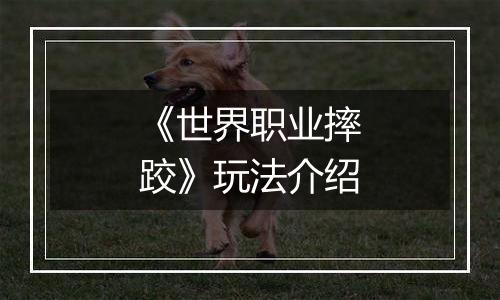 《世界职业摔跤》玩法介绍