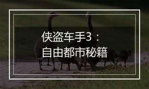 侠盗车手3：自由都市秘籍