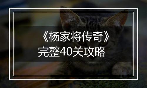 《杨家将传奇》完整40关攻略