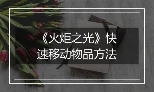 《火炬之光》快速移动物品方法