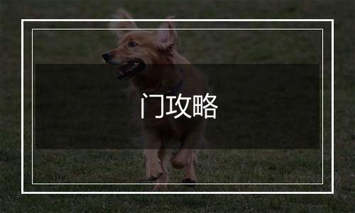 门攻略