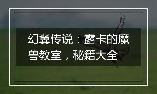 幻翼传说：露卡的魔兽教室，秘籍大全