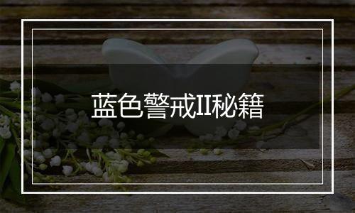 蓝色警戒II秘籍