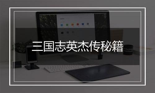 三国志英杰传秘籍