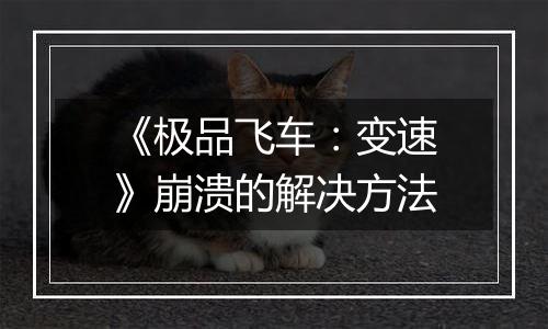 《极品飞车：变速》崩溃的解决方法