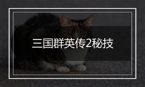 三国群英传2秘技