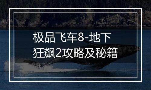 极品飞车8-地下狂飙2攻略及秘籍