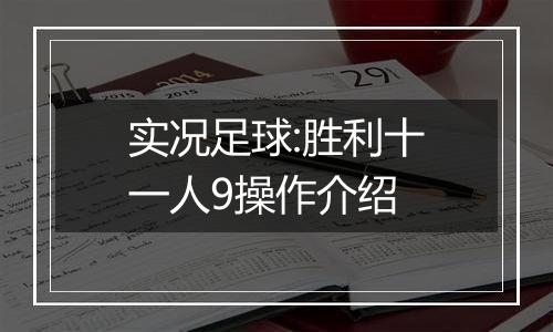 实况足球:胜利十一人9操作介绍