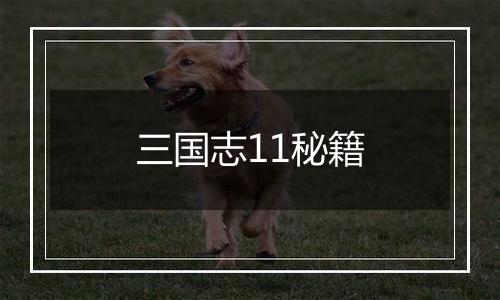 三国志11秘籍