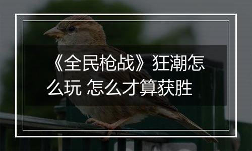 《全民枪战》狂潮怎么玩 怎么才算获胜