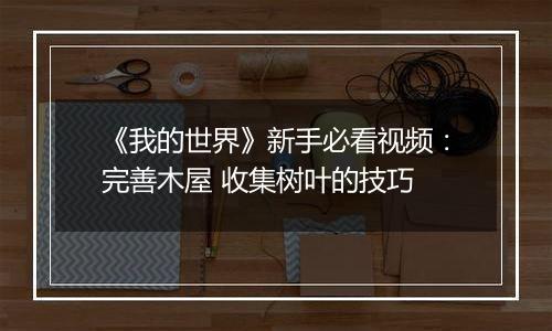《我的世界》新手必看视频：完善木屋 收集树叶的技巧