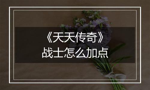 《天天传奇》战士怎么加点