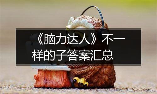 《脑力达人》不一样的子答案汇总
