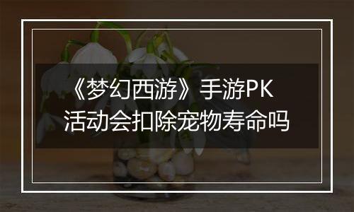 《梦幻西游》手游PK活动会扣除宠物寿命吗