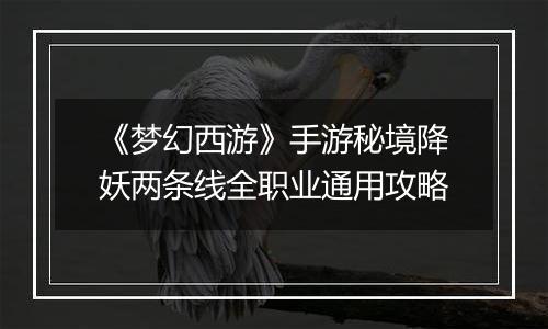 《梦幻西游》手游秘境降妖两条线全职业通用攻略