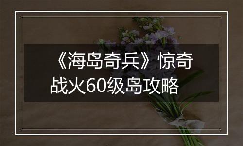 《海岛奇兵》惊奇战火60级岛攻略