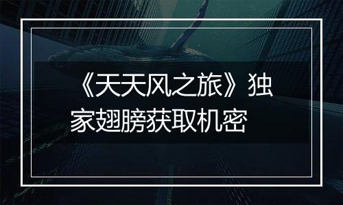 《天天风之旅》独家翅膀获取机密