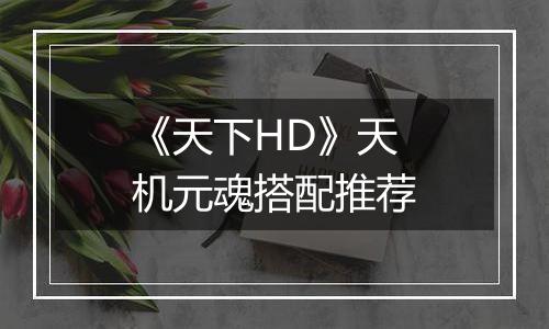 《天下HD》天机元魂搭配推荐