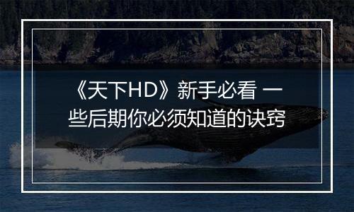 《天下HD》新手必看 一些后期你必须知道的诀窍