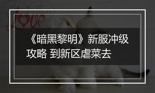 《暗黑黎明》新服冲级攻略 到新区虐菜去