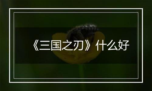 《三国之刃》什么好