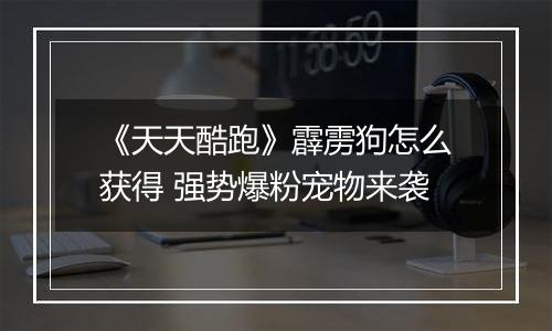 《天天酷跑》霹雳狗怎么获得 强势爆粉宠物来袭