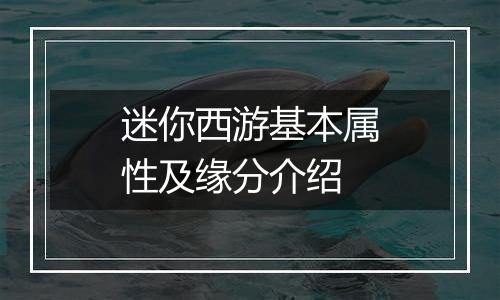 迷你西游基本属性及缘分介绍