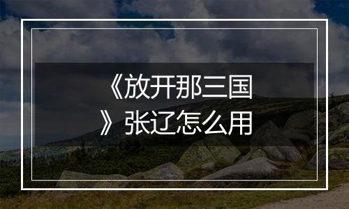 《放开那三国》张辽怎么用