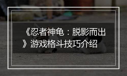 《忍者神龟：脱影而出》游戏格斗技巧介绍