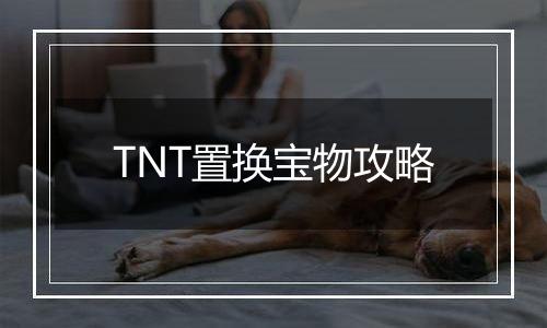 TNT置换宝物攻略