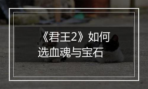 《君王2》如何选血魂与宝石