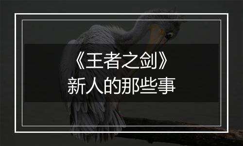 《王者之剑》新人的那些事