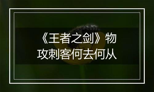 《王者之剑》物攻刺客何去何从