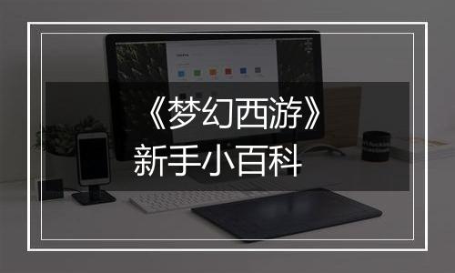 《梦幻西游》新手小百科