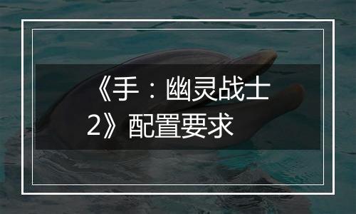 《手：幽灵战士2》配置要求