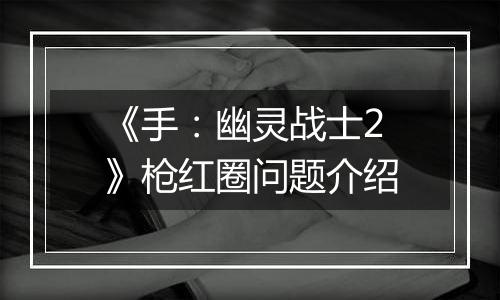 《手：幽灵战士2》枪红圈问题介绍