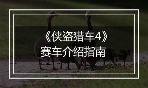 《侠盗猎车4》赛车介绍指南