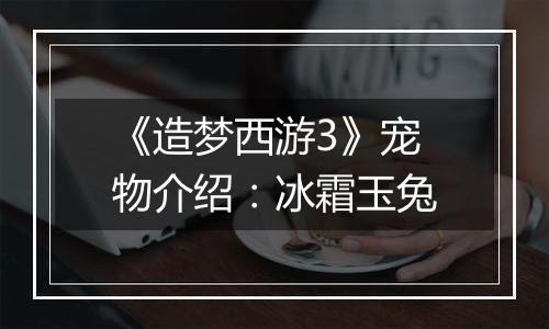 《造梦西游3》宠物介绍：冰霜玉兔