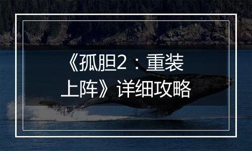 《孤胆2：重装上阵》详细攻略