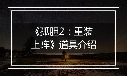 《孤胆2：重装上阵》道具介绍
