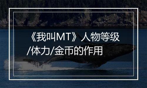 《我叫MT》人物等级/体力/金币的作用
