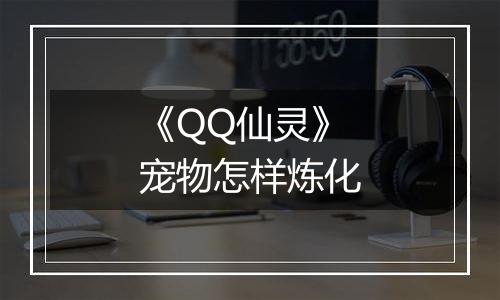 《QQ仙灵》宠物怎样炼化