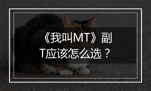 《我叫MT》副T应该怎么选？